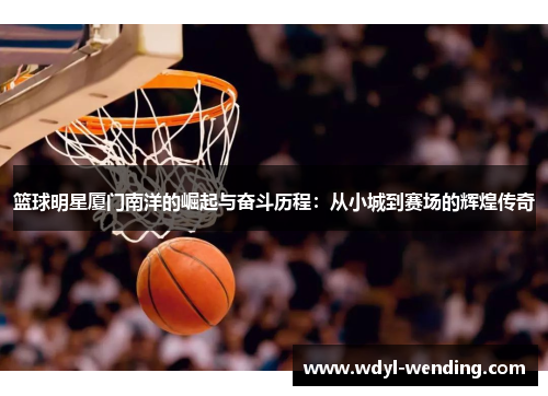 篮球明星厦门南洋的崛起与奋斗历程：从小城到赛场的辉煌传奇